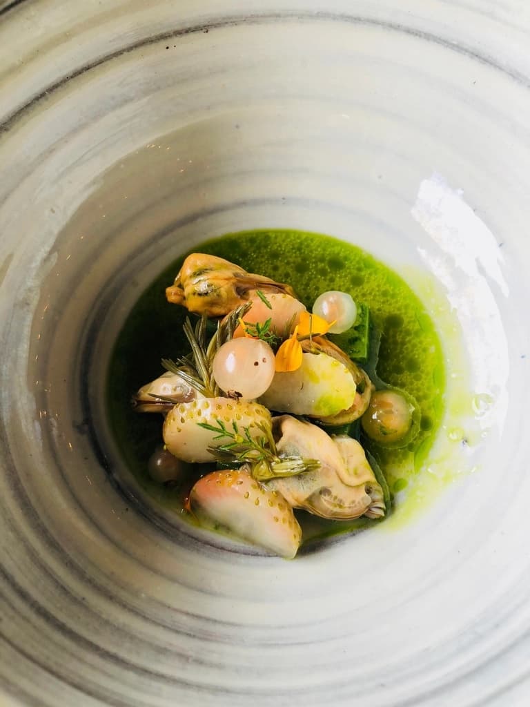 Scent-Leaf Mussels
