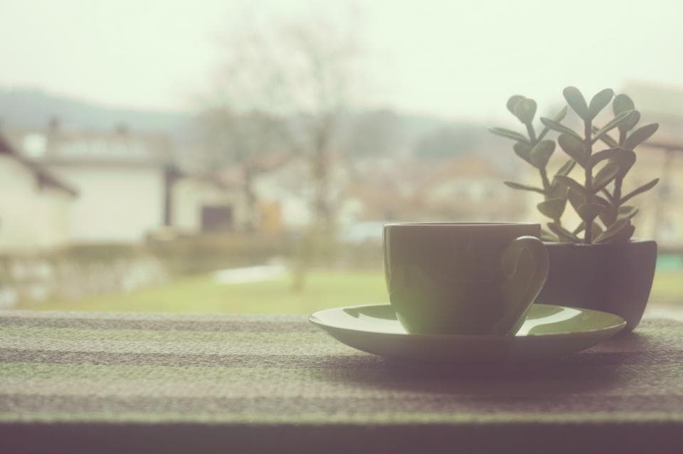 A cup of coffee beside a small plant on a misty windowsill